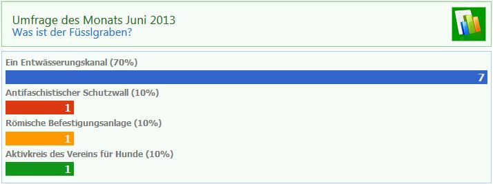 Umfrage Juni 2013